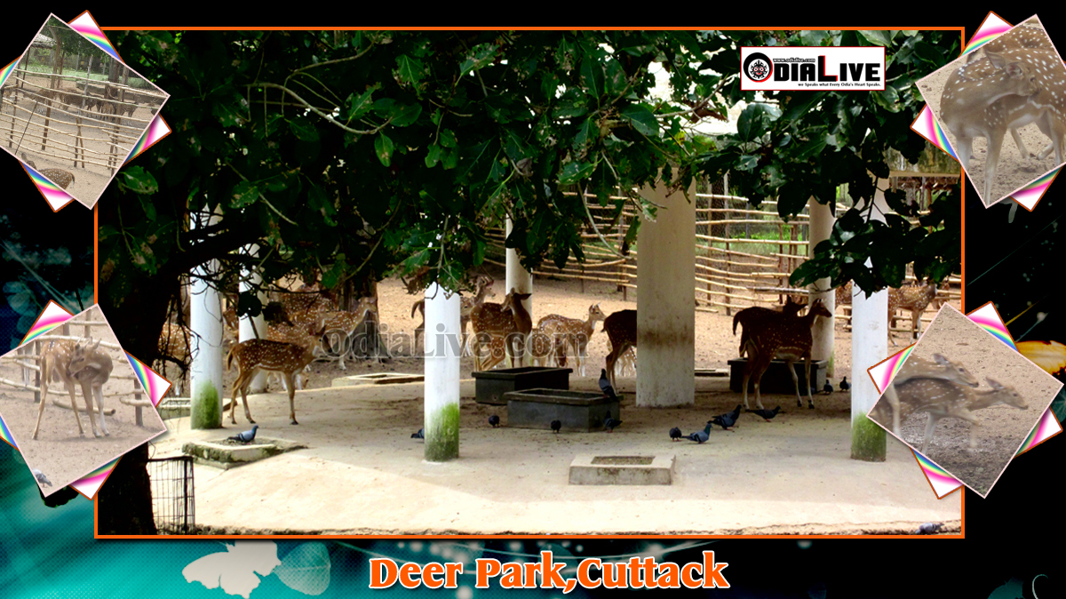tourists places in cuttack