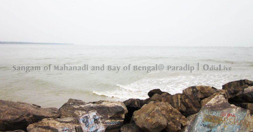 The Place where Mahanadi Meets Bay of Bengal img