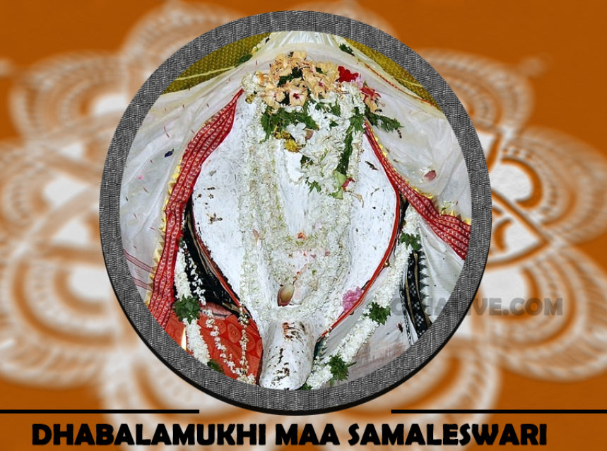 Dhabalamukhi Besa of Maa Samaleswari img