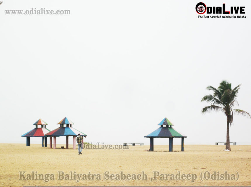 Paradeep Sea Beach img