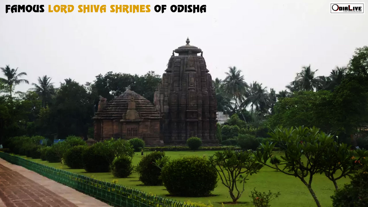 temples-city-odisha