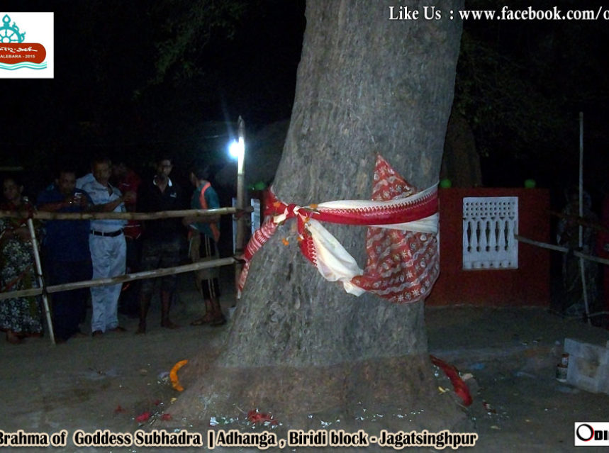 Daru of Goddess Subhadra declared img