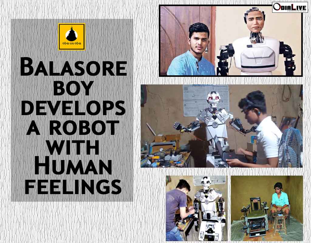 andro-humanoid robot