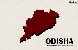Know how to check Online Land Records in Bhulekha Portal of Odisha img