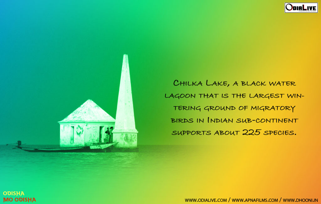 chilka-lake-odisha