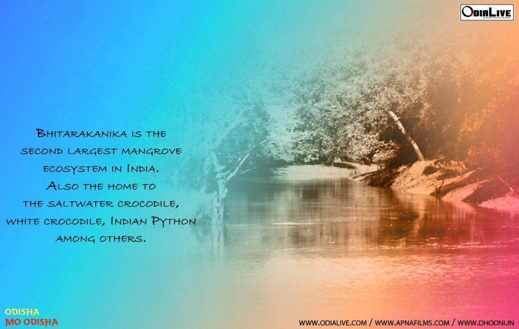 odisha-tourism